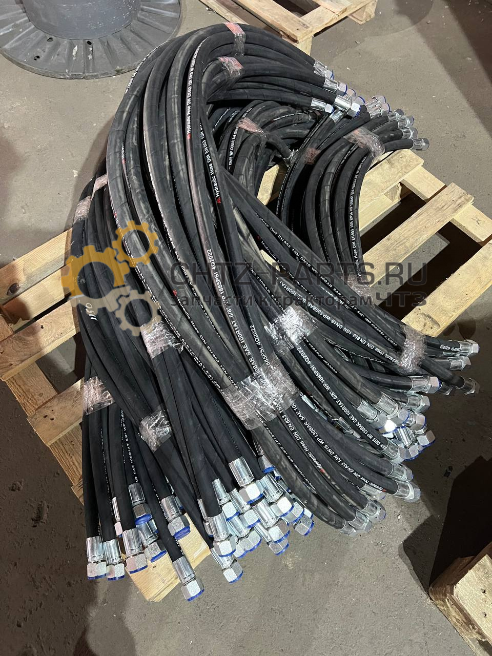 46-08-01-01